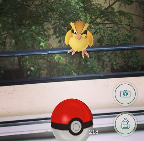 Pokemon Go : pourquoi ce jeu est-il une révolution ? Pokemon Go : pourquoi ce jeu est-il une révolution ?
