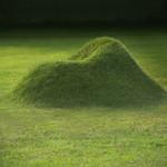 GREEN : Terra Grass armchair by Nucleo