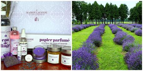 Produits Maison Lavande La Maison Lavande - NaNa Toulouse - Produits Maison Lavande