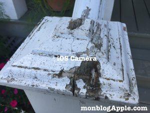 Review Microsoft Pix pour iPhone et iPad Review Microsoft Pix pour iPhone et iPad