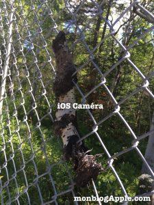 Review Microsoft Pix pour iPhone et iPad Review Microsoft Pix pour iPhone et iPad