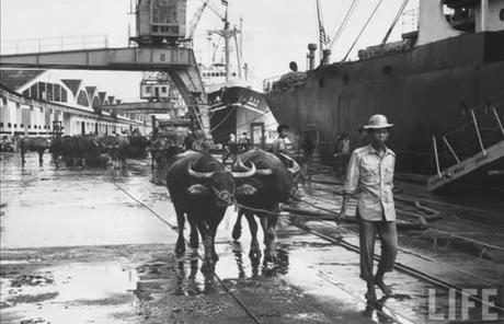 Life Magazine Photos of Thailand in the 1950's Life Magazine Photos of Thailand in the 1950's