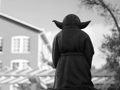Si vous êtes nul en Zen, ce n'est pas rien ! Photo