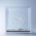 waterscape-hakura-misawa-aquarium-blog-espritdesign-11