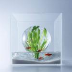 waterscape-hakura-misawa-aquarium-blog-espritdesign-1