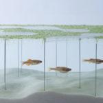 waterscape-hakura-misawa-aquarium-blog-espritdesign-21