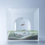 waterscape-hakura-misawa-aquarium-blog-espritdesign-4