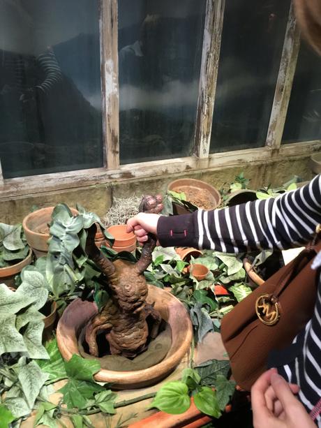 Harry Potter, l’expo Harry Potter, l’expo