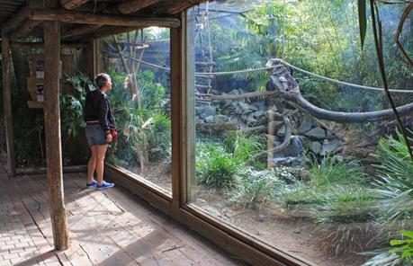 Le Zoo de la Flèche entre amis c’est chouette ! Zoo de la Flèche