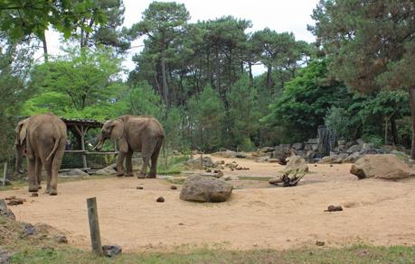 Le Zoo de la Flèche entre amis c’est chouette ! Zoo de la Flèche