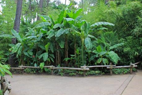 Le Zoo de la Flèche entre amis c’est chouette ! Zoo de la Flèche