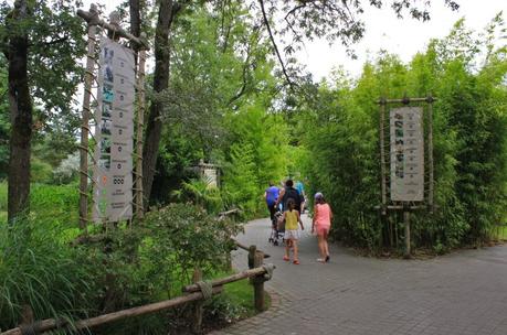 Le Zoo de la Flèche entre amis c’est chouette ! Zoo de la Flèche