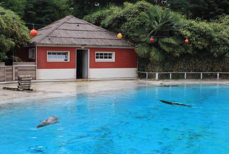 Le Zoo de la Flèche entre amis c’est chouette ! Zoo de la Flèche