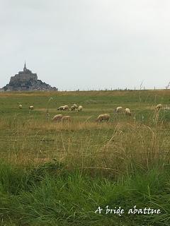 Le Mont Saint Michel a retrouvé son caractère maritime, épisode #1