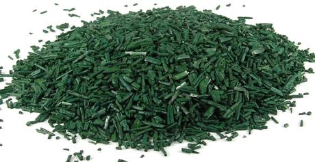 la Spiruline : Tout savoir su ce complément et ses bienfaits Spiruline