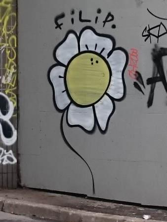 fleur.JPG, août 2016 fleur.JPG