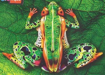 Divers - que voyez-vous Divers - que voyez-vous