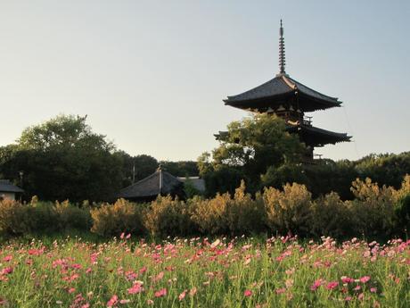 Les temples bouddhistes au japon : l'essentiel pour le visiteur ! Photo