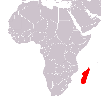 Les secrets profonds de la crise malagasy Les secrets profonds de la crise malagasy