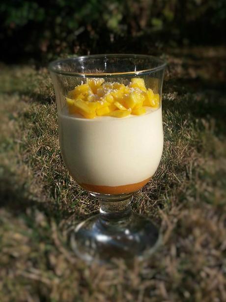 Mousse au chocolat blanc et aux fruits tropicaux Mousse chocolat blanc fruits exotiques