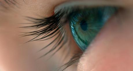 VOYAGE OF TIME - Le nouveau film de Terrence Malick avec la voix de Cate Blanchett VOYAGE OF TIME - Le nouveau film de Terrence Malick avec la voix de Cate Blanchett