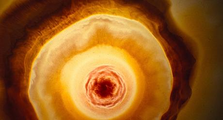 VOYAGE OF TIME - Le nouveau film de Terrence Malick avec la voix de Cate Blanchett VOYAGE OF TIME - Le nouveau film de Terrence Malick avec la voix de Cate Blanchett