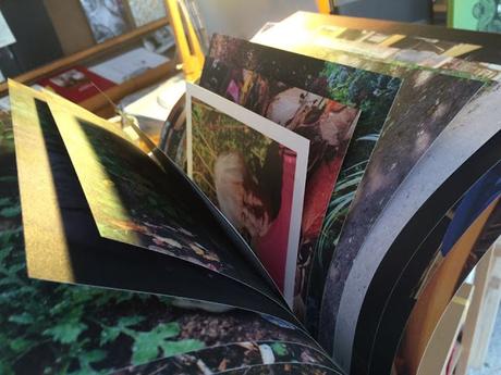 booklets in a slipcase, Ellen Korth