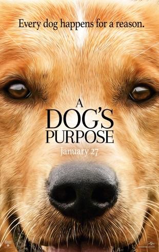 [Trailer] A Dog’s Purpose : une vie de chien