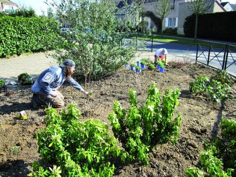 En Île-de-France, de plus en plus de communes optent pour des espaces verts « zéro pesticide »