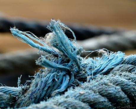 Harmonie en bleu et gris Harmonie en bleu et gris