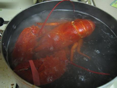 Homards à Ahuntsic (en Fugues) Homards à Ahuntsic (en Fugues)
