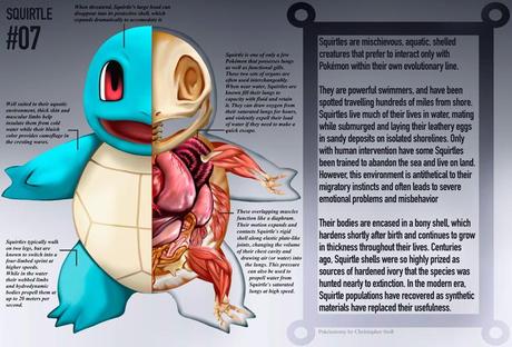 Cet illustrateur dévoile un livre d’anatomie dédié aux Pokémon ! PokeNatomy-9