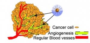CANCER: L'approche métronomique qui fige la progression tumorale – Chemistry of Materials