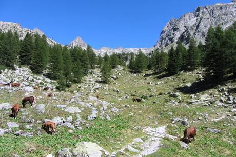 Randonnée au lac de Trécolpas Randonnée au lac de Trécolpas