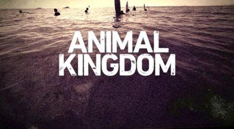 Animal Kingdom, une famille à l’état sauvage