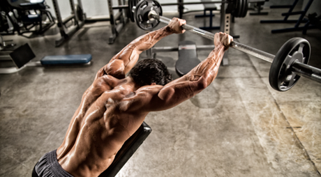 Programme musculation : guide pour se créer un programme personnalisé programme musculation dos