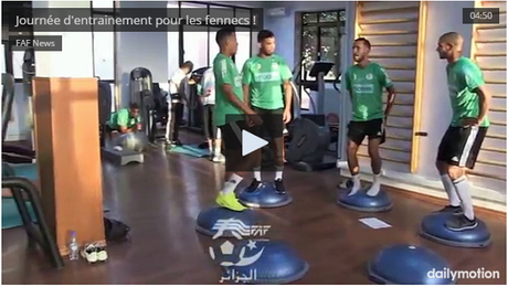 Journée d'entrainement pour les fennecs ! Journée d'entrainement pour les fennecs !