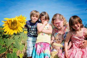 Vacances en Poitou Charentes à Six – 2° partie vacances 2016 - dans les champs de tournesol