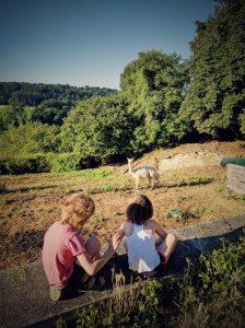 Vacances en Poitou Charentes à Six – 2° partie vacances 2016 - le domaine de brassac - bébé alpagaVacances 2016 - Le Chateaux des Enigmes - Chateau d'Usson