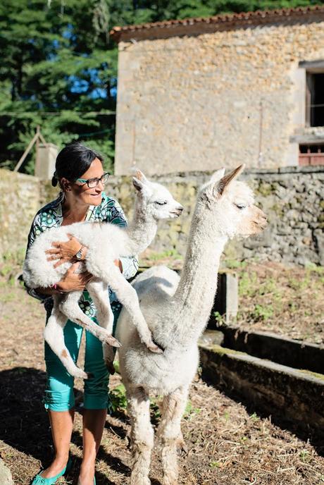 Vacances en Poitou Charentes à Six – 2° partie vacances 2016 - domaine de brassac - l'arrivée tant attendue d'un bébé alpaga