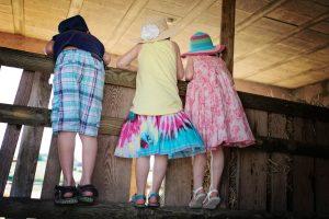 Vacances en Poitou Charentes à Six – 2° partie vacances 2016 - Parc Defi Planet'