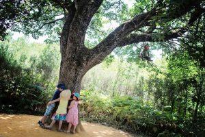 Vacances en Poitou Charentes à Six – 2° partie vacances 2016 - Parc Defi Planet' - La forêt de farfadets