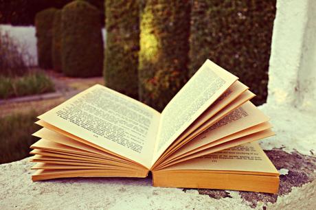 Dounia-Joy’s book club, récapitulatif d’août et thème de septembre ! livre 4