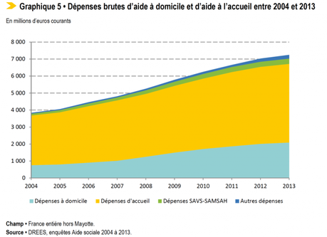 En chiffre – Aides aux personnes handicapées depenses-brutes-aides-departement-1024x743