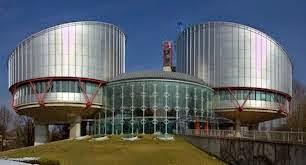 La Cour Européenne des Droits de l'Homme a mis en place h... La Cour Européenne des Droits de l'Homme a mis en place h...