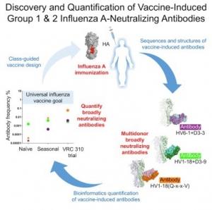 GRIPPE: Toujours sur la piste du vaccin universel – Cell