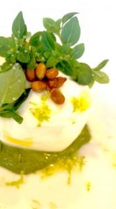 DAROCO BURRATA