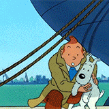 tintin à bulles tintin à bulles