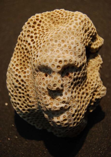 Head carved in coral, AD 1000-1200, Troumassey Culture, Anse á la Gourde, Guadeloupe, © A. Delpuech. 