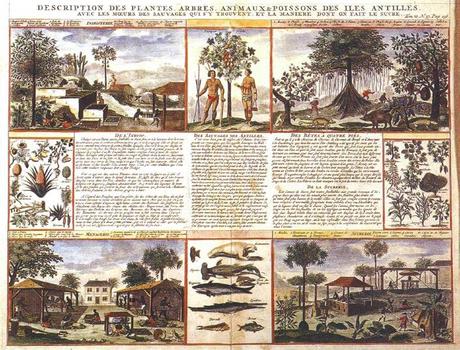 “Description of plants, trees, animals and fish of the Antilles with the customs of the savages found there and the way that they produce sugar”, Henri Chatelain, Amsterdam,1718.